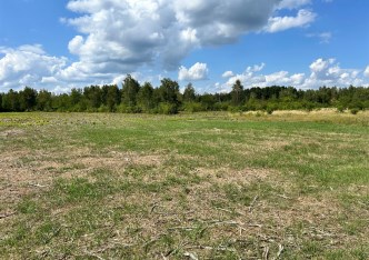 działka na sprzedaż - Czosnów, Sowia Wola