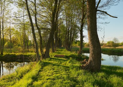 działka na sprzedaż - Czosnów, Aleksandrów